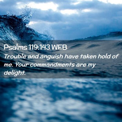 Picture 02 - Psalms 119:143 WEB - Trouble and anguish have taken hold of me. Your - Bible Verse Picture
