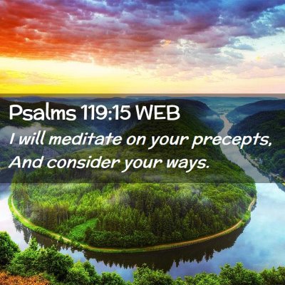 Picture 02 - Psalms 119:15 WEB - I will meditate on your precepts, And consider - Bible Verse Picture