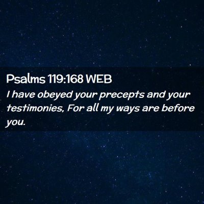 Picture 02 - Psalms 119:168 WEB - I have obeyed your precepts and your testimonies, - Bible Verse Picture