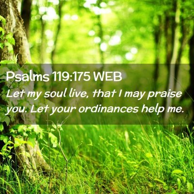 Picture 02 - Psalms 119:175 WEB - Let my soul live, that I may praise you. Let your - Bible Verse Picture