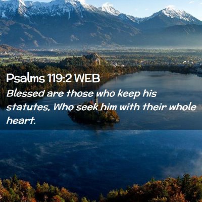 Picture 02 - Psalms 119:2 WEB - Blessed are those who keep his statutes, Who seek - Bible Verse Picture