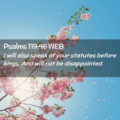 Picture 02 - Psalms 119:46 WEB - I will also speak of your statutes before kings, - Bible Verse Picture