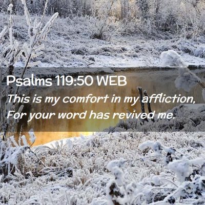 Picture 02 - Psalms 119:50 WEB - This is my comfort in my affliction, For your - Bible Verse Picture