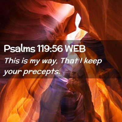 Picture 02 - Psalms 119:56 WEB - This is my way, That I keep your - Bible Verse Picture