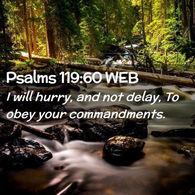 Picture 02 - Psalms 119:60 WEB - I will hurry, and not delay, To obey your - Bible Verse Picture