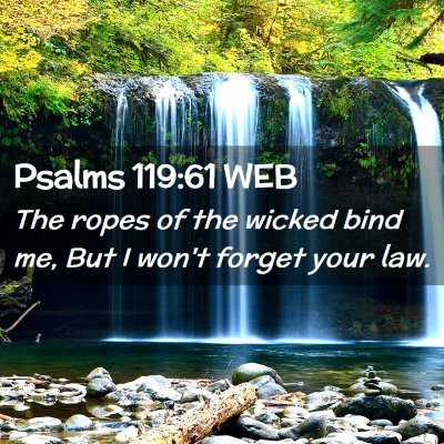 Picture 02 - Psalms 119:61 WEB - The ropes of the wicked bind me, But I won't - Bible Verse Picture