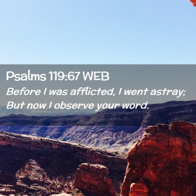 Picture 02 - Psalms 119:67 WEB - Before I was afflicted, I went astray; But now I - Bible Verse Picture