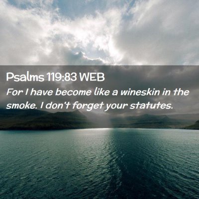 Picture 02 - Psalms 119:83 WEB - For I have become like a wineskin in the smoke. I - Bible Verse Picture