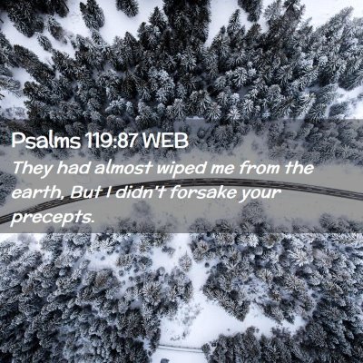 Picture 02 - Psalms 119:87 WEB - They had almost wiped me from the earth, But I - Bible Verse Picture