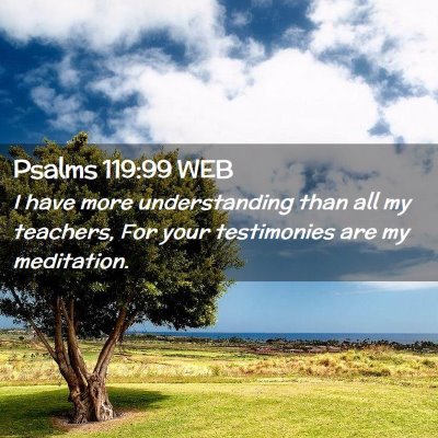 Picture 02 - Psalms 119:99 WEB - I have more understanding than all my teachers, - Bible Verse Picture