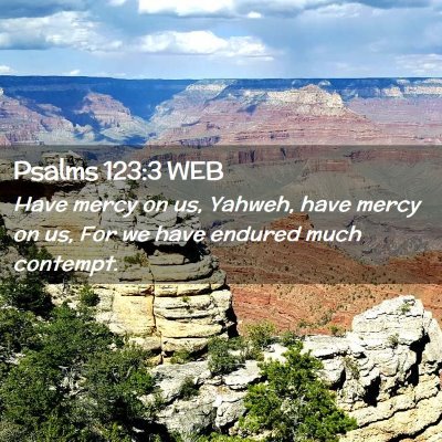 Picture 02 - Psalms 123:3 WEB - Have mercy on us, Yahweh, have mercy on us, For - Bible Verse Picture