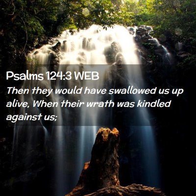 Picture 02 - Psalms 124:3 WEB - Then they would have swallowed us up alive, When - Bible Verse Picture