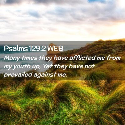 Picture 02 - Psalms 129:2 WEB - Many times they have afflicted me from my youth - Bible Verse Picture