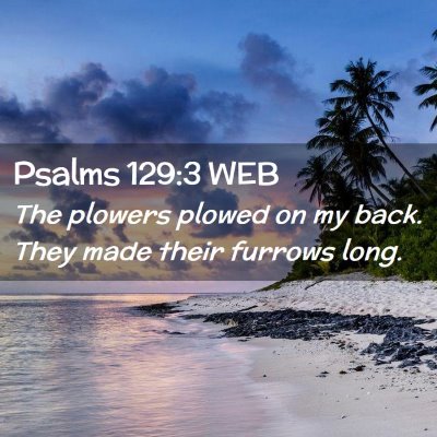 Picture 02 - Psalms 129:3 WEB - The plowers plowed on my back. They made their - Bible Verse Picture