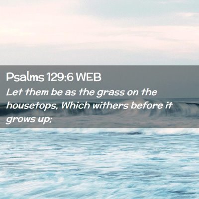 Picture 02 - Psalms 129:6 WEB - Let them be as the grass on the housetops, Which - Bible Verse Picture