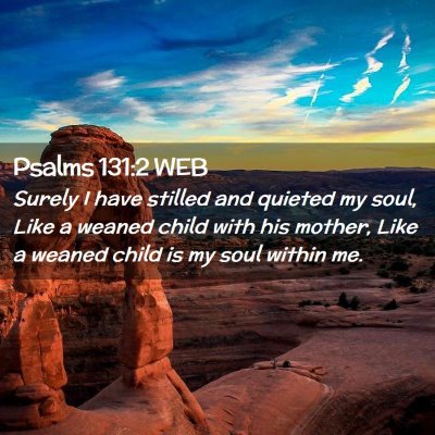 Picture 02 - Psalms 131:2 WEB - Surely I have stilled and quieted my soul, Like a - Bible Verse Picture