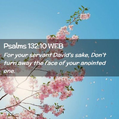 Picture 02 - Psalms 132:10 WEB - For your servant David's sake, Don't turn away - Bible Verse Picture