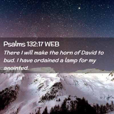 Picture 02 - Psalms 132:17 WEB - There I will make the horn of David to bud. I - Bible Verse Picture