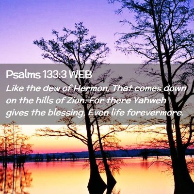 Picture 02 - Psalms 133:3 WEB - Like the dew of Hermon, That comes down on the - Bible Verse Picture