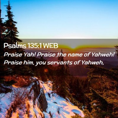 Picture 02 - Psalms 135:1 WEB - Praise Yah! Praise the name of Yahweh! Praise - Bible Verse Picture