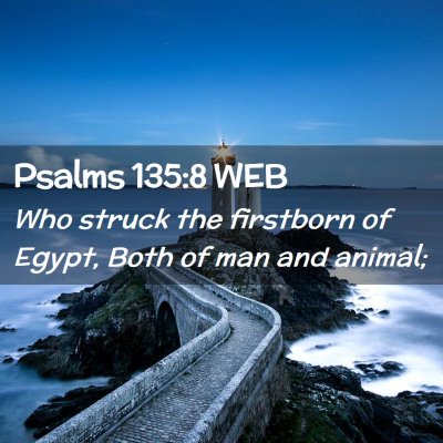 Picture 02 - Psalms 135:8 WEB - Who struck the firstborn of Egypt, Both of man - Bible Verse Picture