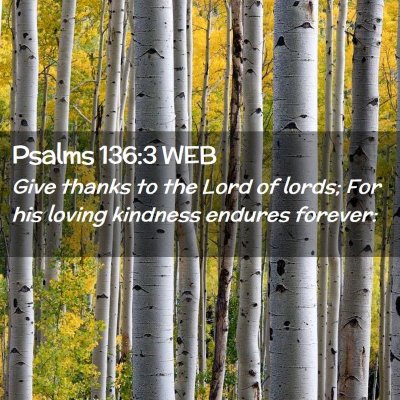 Picture 02 - Psalms 136:3 WEB - Give thanks to the Lord of lords; For his loving - Bible Verse Picture