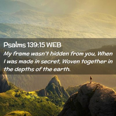 Picture 02 - Psalms 139:15 WEB - My frame wasn't hidden from you, When I was made - Bible Verse Picture