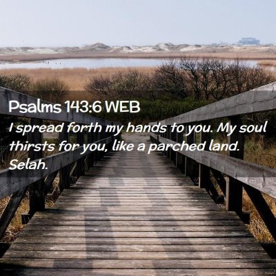 Picture 02 - Psalms 143:6 WEB - I spread forth my hands to you. My soul thirsts - Bible Verse Picture