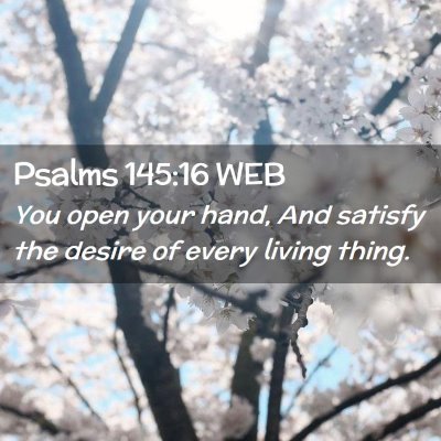 Picture 02 - Psalms 145:16 WEB - You open your hand, And satisfy the desire of - Bible Verse Picture