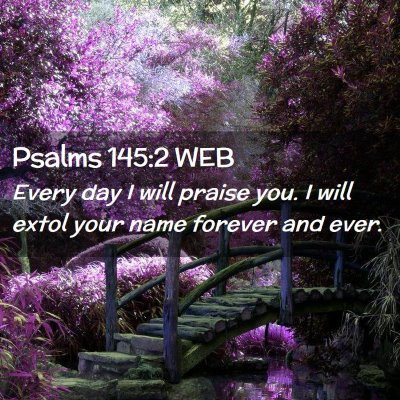 Picture 02 - Psalms 145:2 WEB - Every day I will praise you. I will extol your - Bible Verse Picture