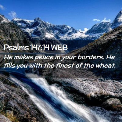 Picture 02 - Psalms 147:14 WEB - He makes peace in your borders. He fills you with - Bible Verse Picture