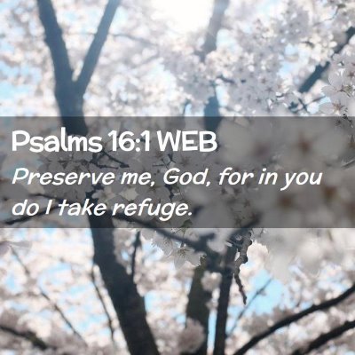 Picture 02 - Psalms 16:1 WEB - Preserve me, God, for in you do I take - Bible Verse Picture