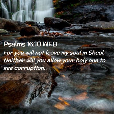 Picture 02 - Psalms 16:10 WEB - For you will not leave my soul in Sheol, Neither - Bible Verse Picture