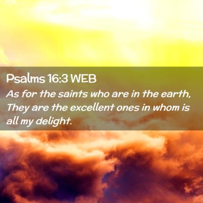 Picture 02 - Psalms 16:3 WEB - As for the saints who are in the earth, They are - Bible Verse Picture