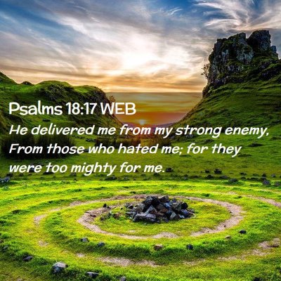 Picture 02 - Psalms 18:17 WEB - He delivered me from my strong enemy, From those - Bible Verse Picture