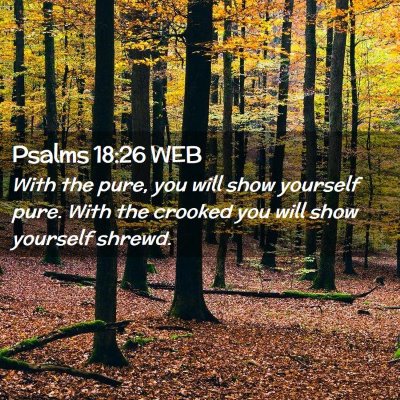 Picture 02 - Psalms 18:26 WEB - With the pure, you will show yourself pure. With - Bible Verse Picture