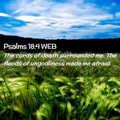 Picture 02 - Psalms 18:4 WEB - The cords of death surrounded me. The floods of - Bible Verse Picture