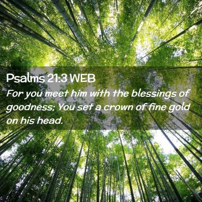 Picture 02 - Psalms 21:3 WEB - For you meet him with the blessings of goodness; - Bible Verse Picture