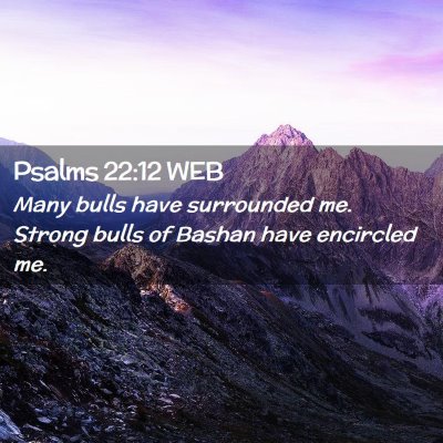 Picture 02 - Psalms 22:12 WEB - Many bulls have surrounded me. Strong bulls of - Bible Verse Picture