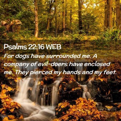 Picture 02 - Psalms 22:16 WEB - For dogs have surrounded me. A company of - Bible Verse Picture