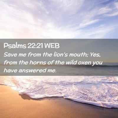 Picture 02 - Psalms 22:21 WEB - Save me from the lion's mouth; Yes, from the - Bible Verse Picture