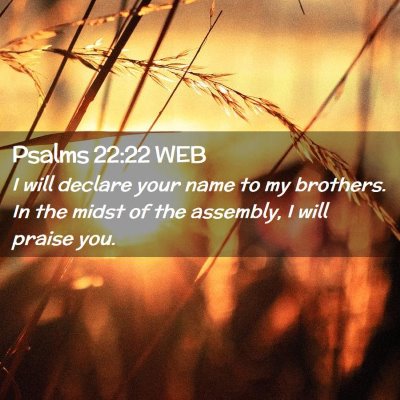 Picture 02 - Psalms 22:22 WEB - I will declare your name to my brothers. In the - Bible Verse Picture