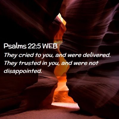 Picture 02 - Psalms 22:5 WEB - They cried to you, and were delivered. They - Bible Verse Picture