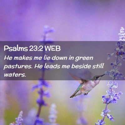 Picture 02 - Psalms 23:2 WEB - He makes me lie down in green pastures. He leads - Bible Verse Picture