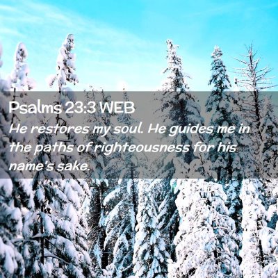 Picture 02 - Psalms 23:3 WEB - He restores my soul. He guides me in the paths of - Bible Verse Picture