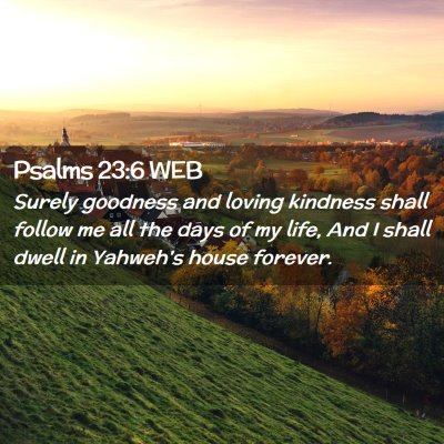 Picture 02 - Psalms 23:6 WEB - Surely goodness and loving kindness shall follow - Bible Verse Picture