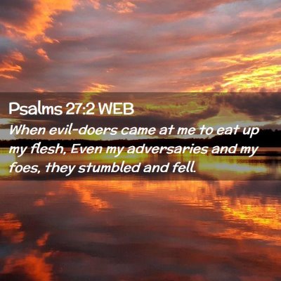 Picture 02 - Psalms 27:2 WEB - When evil-doers came at me to eat up my flesh, - Bible Verse Picture