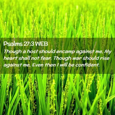 Picture 02 - Psalms 27:3 WEB - Though a host should encamp against me, My heart - Bible Verse Picture