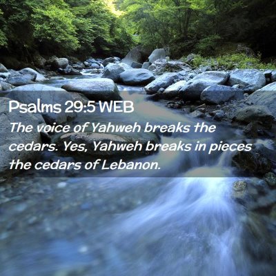 Picture 02 - Psalms 29:5 WEB - The voice of Yahweh breaks the cedars. Yes, - Bible Verse Picture