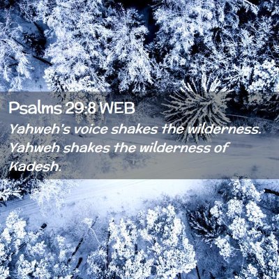Picture 02 - Psalms 29:8 WEB - Yahweh's voice shakes the wilderness. Yahweh - Bible Verse Picture